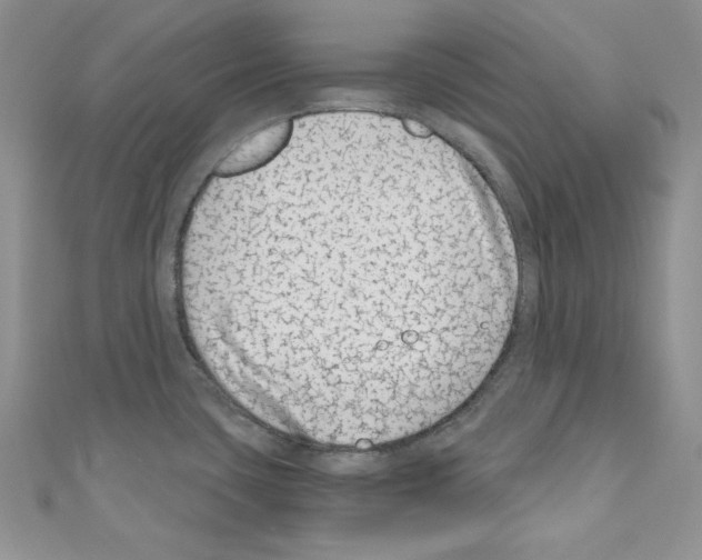 X0000110671435200907241013