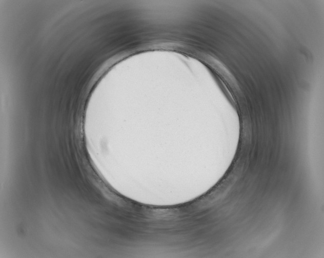 X0000110671436200907241013
