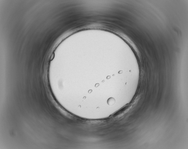 X0000110671437200907241013
