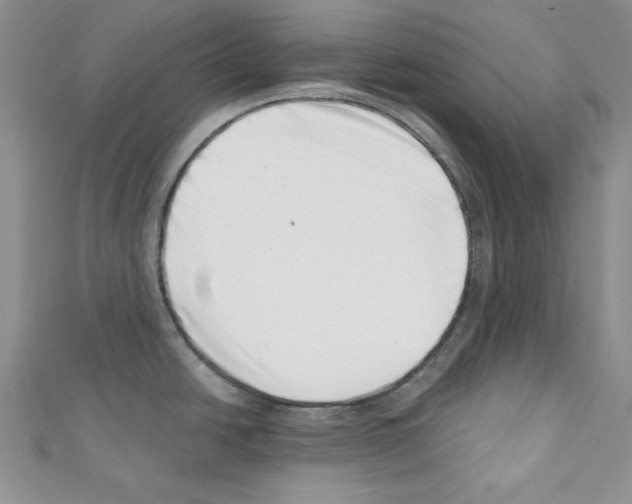X0000110671438200907241013
