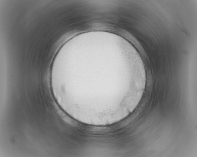 X0000110671439200907241013