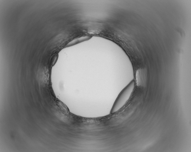 X0000110671443200907241012