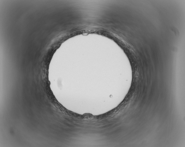 X0000110671447200907241012