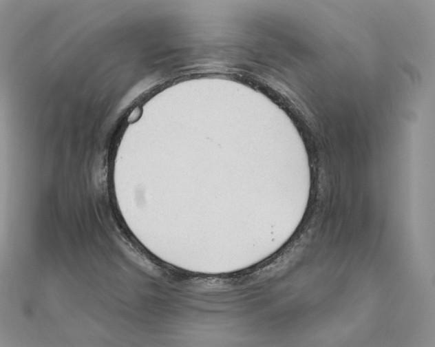 X0000110671450200907241012