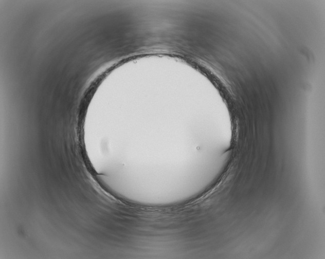 X0000110671452200907241012