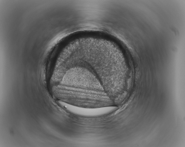 X0000110671455200907241012