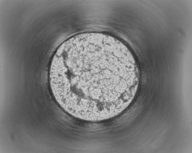 X0000110671459200907241012