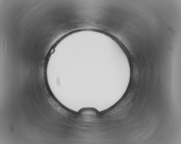 X0000110671460200907241012