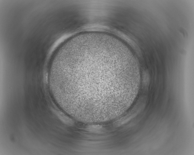 X0000110671462200907241012
