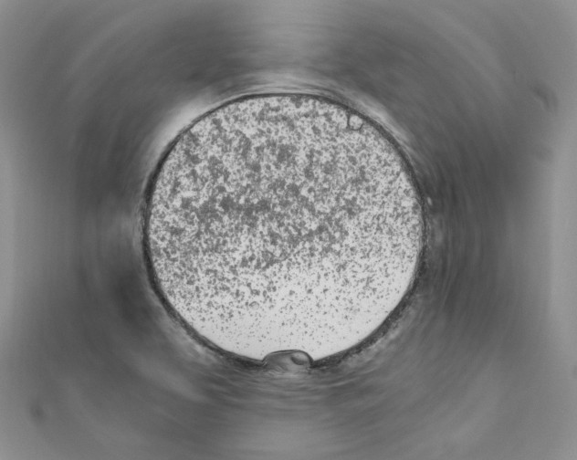 X0000110671463200907241012