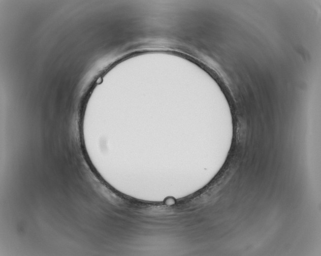 X0000110671464200907241012