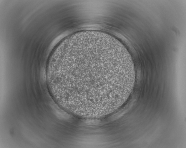 X0000110671466200907241012