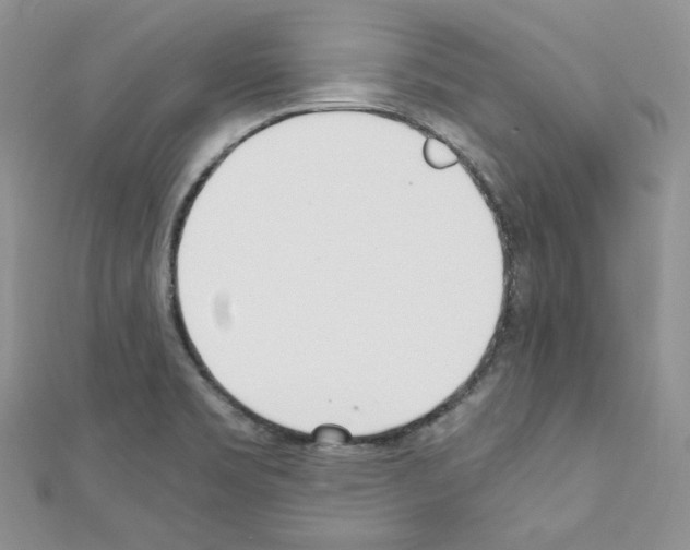 X0000110671469200907241012