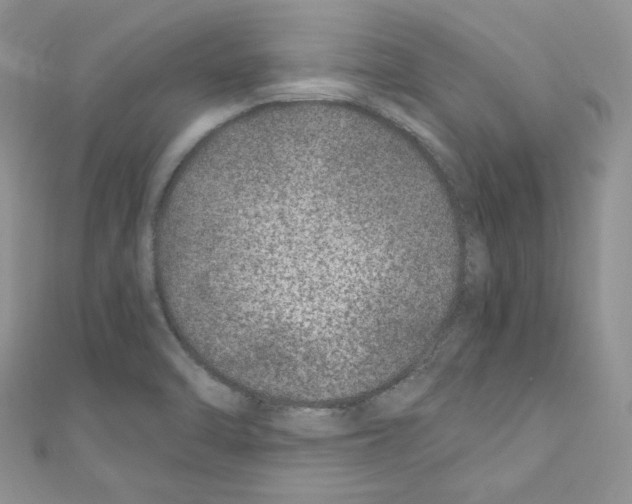 X0000110671470200907241012