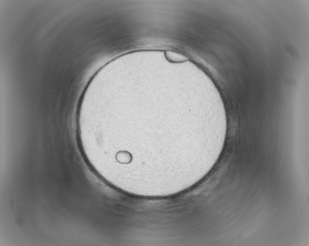 X0000110671471200907241012
