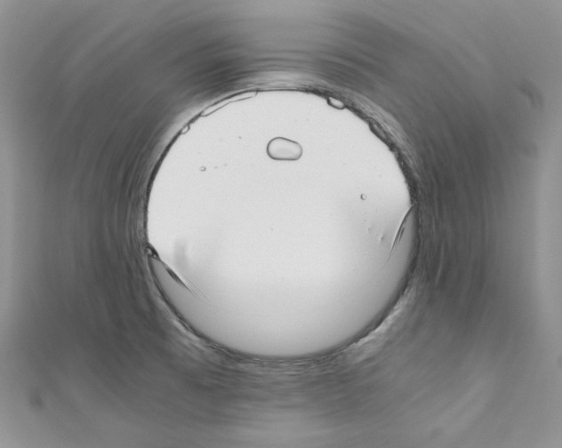 X0000110671473200907241012