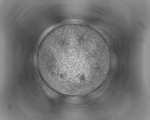 X0000110671474200907241012