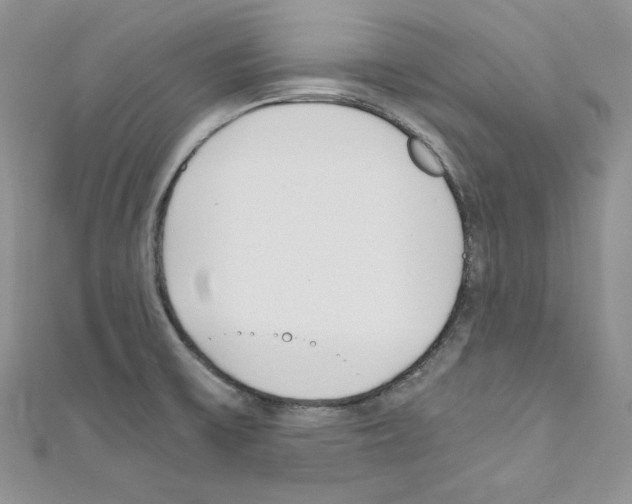 X0000110671475200907241012