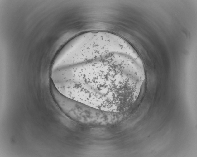 X0000110671477200907241012