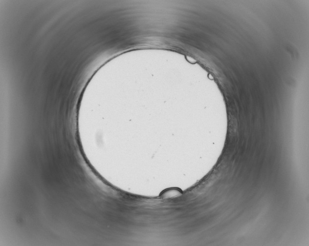 X0000110671479200907241012