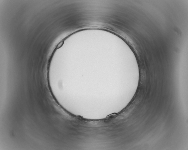 X0000110671480200907241012