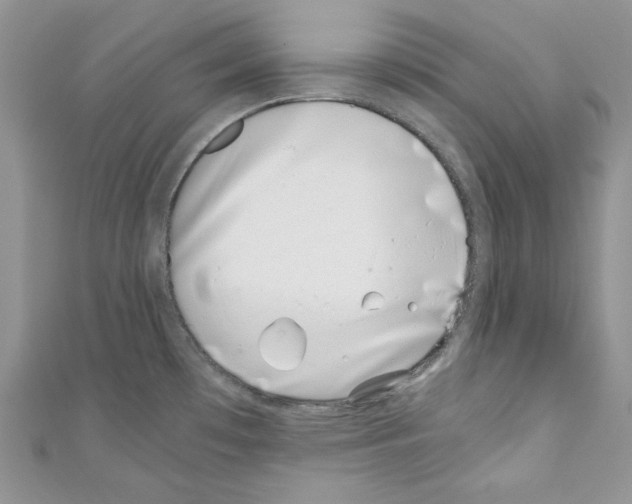 X0000110671481200907241012