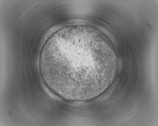 X0000110671482200907241012