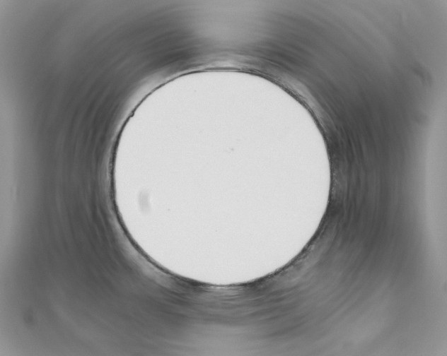X0000110671483200907241012