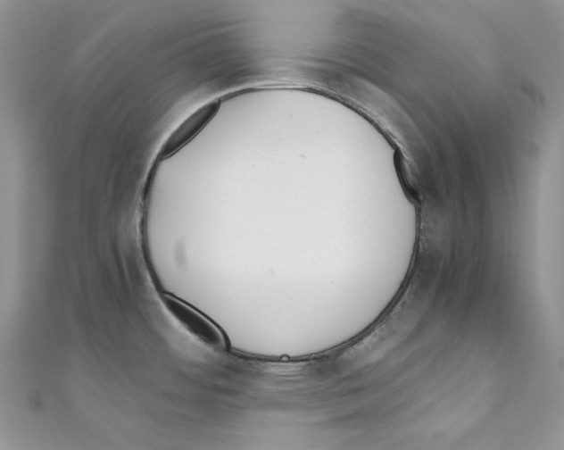 X0000110671484200907241012