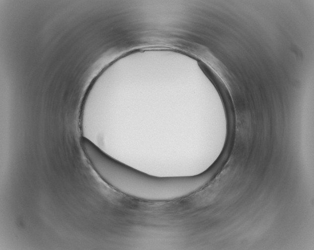 X0000110671485200907241012