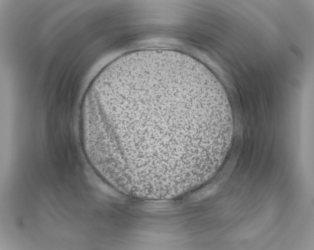X0000110671486200907241012