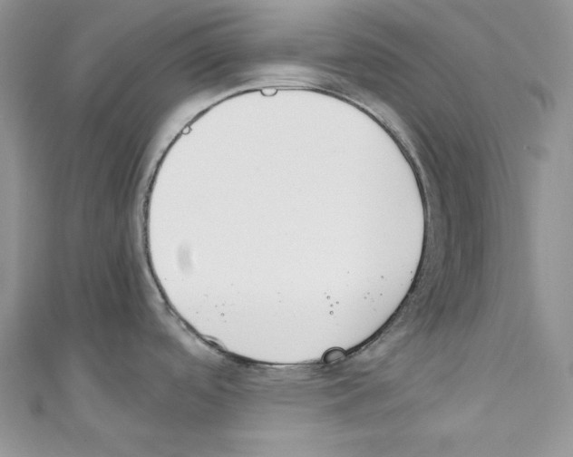 X0000110671488200907241012