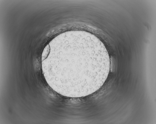 X0000110671491200907241011