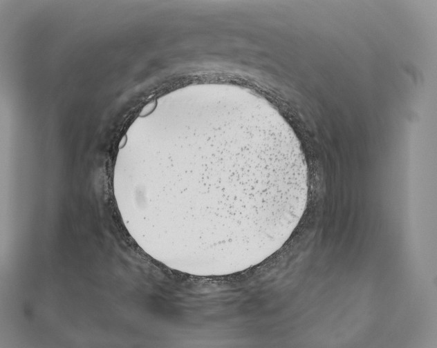 X0000110671493200907241011
