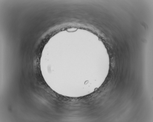 X0000110671495200907241011