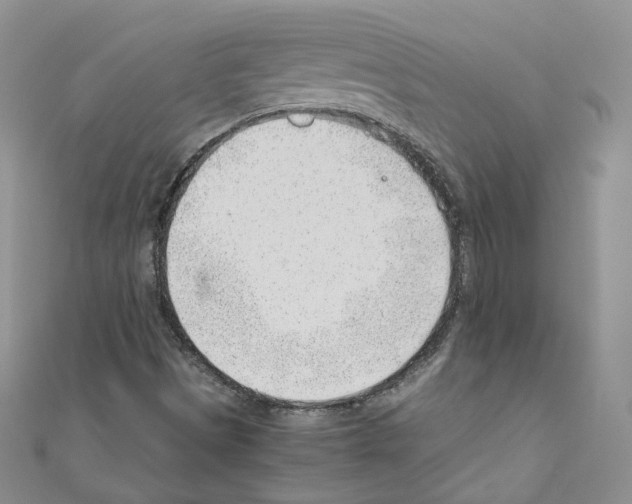 X0000110671497200907241011