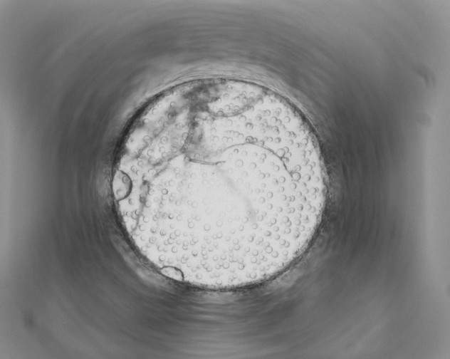 X0000110671499200907241011