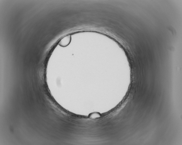X0000110671502200907241011