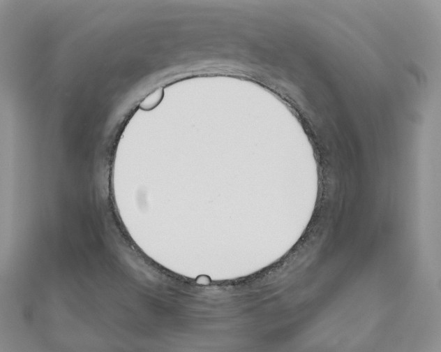 X0000110671504200907241011