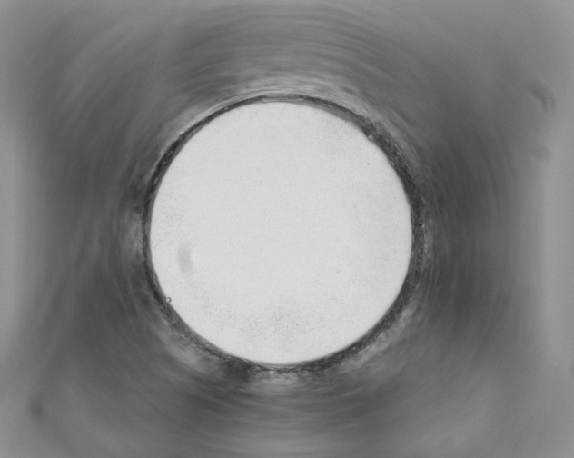 X0000110671505200907241011