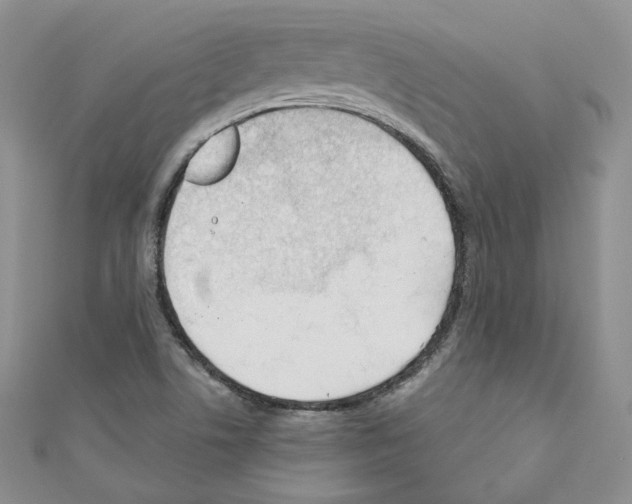 X0000110671506200907241011