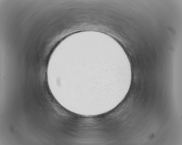 X0000110671507200907241011