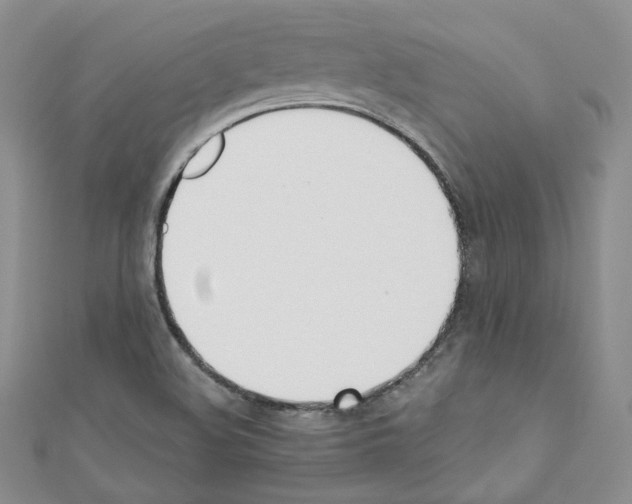 X0000110671508200907241011