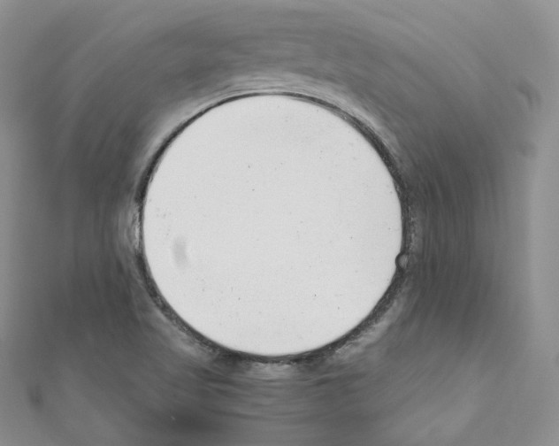X0000110671509200907241011