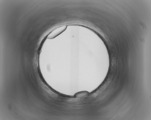X0000110671510200907241011