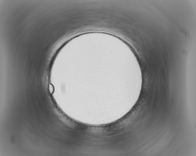 X0000110671511200907241011