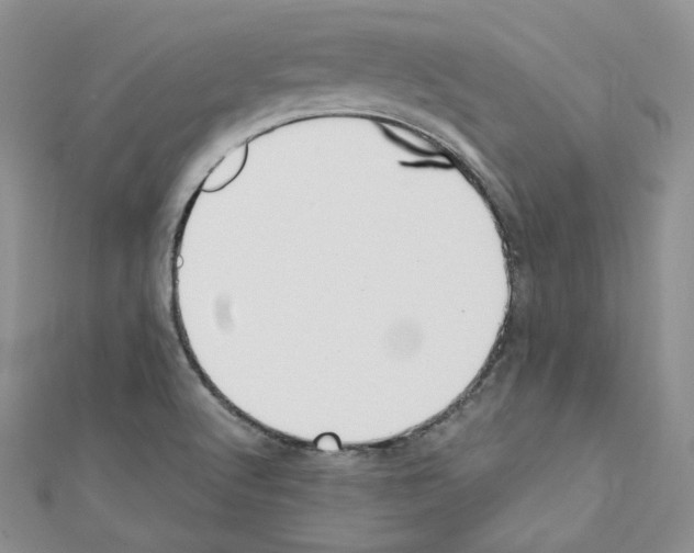 X0000110671512200907241011