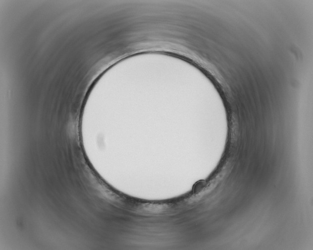 X0000110671513200907241011