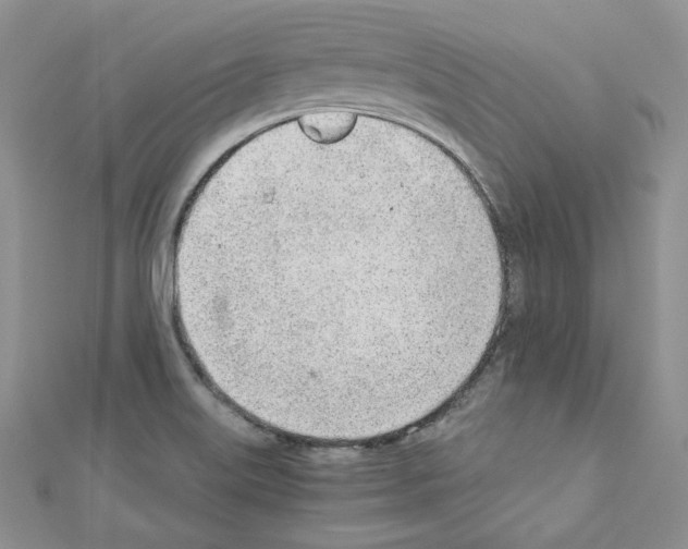 X0000110671515200907241011