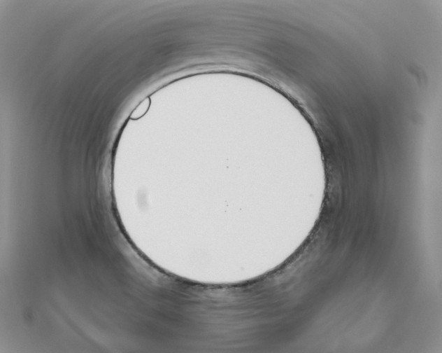 X0000110671516200907241011